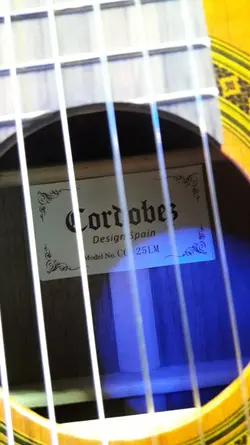 خرید گیتار کلاسیک cordobes کوردوبز cg25lm آکبند - دنیای ساز