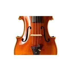 خرید ویولن Phoenix فونیکس مدل VZ 101 آکبند - دنیای ساز