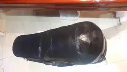 خرید هاردکیس چرمی کمانچه آکبند - دنیای ساز
