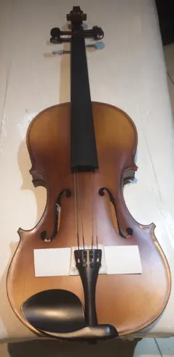 خرید ویولا (ویولن‌آلتو) رناتو سایز 41 renato آکبند - دنیای ساز