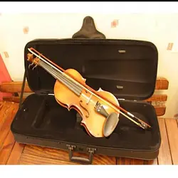 خرید ویولن پیکولی picolly مدل SR1930 کهربایی مات چهارچهارم آکبند - دنیای ساز