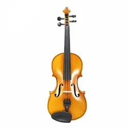 خرید ویولن TF تی اف مدل 142 سه چهارم آکبند - دنیای ساز