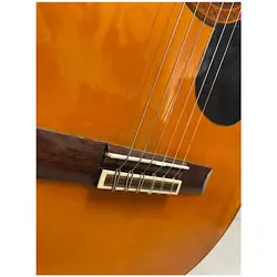 خرید گیتار کلاسیک آریا ARIA AK 80 در حد آکبند - دنیای ساز