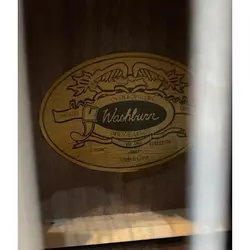خرید گیتار کلاسیک واشبورن Washburn آکبند - دنیای ساز