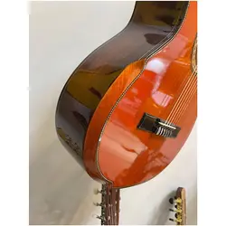 خرید گیتار کلاسیک واشبورن Washburn آکبند - دنیای ساز