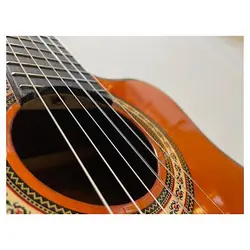 خرید گیتار کلاسیک واشبورن Washburn آکبند - دنیای ساز