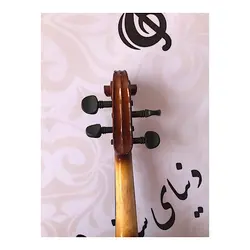 خرید ویولن آکوستیک استریچ violin streich instrumente کارکرده با لوازم کامل - دنیای ساز