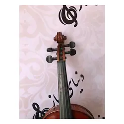 خرید ویولن آکوستیک استریچ violin streich instrumente کارکرده با لوازم کامل - دنیای ساز