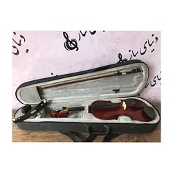 خرید ویولن آکوستیک استریچ violin streich instrumente کارکرده با لوازم کامل - دنیای ساز