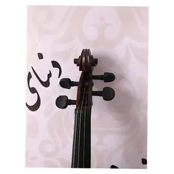 خرید ویولن آکوستیک زک zk چهارچهارم کارکرده در حد نو - دنیای ساز