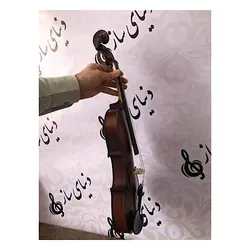 خرید ویولن آکوستیک زک zk چهارچهارم کارکرده در حد نو - دنیای ساز