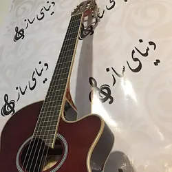 خرید گیتار کلاسیک پیکاپ دار تین بادی مستر ورک Master Work آکبند - دنیای ساز