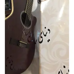 خرید گیتار کلاسیک پیکاپ دار تین بادی مستر ورک Master Work آکبند - دنیای ساز