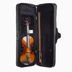 خرید ویولن Arax آراکس 142 چهارچهارم براق آکبند - دنیای ساز