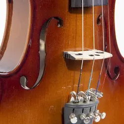 خرید ویولن Arax آراکس 142 چهارچهارم براق آکبند - دنیای ساز