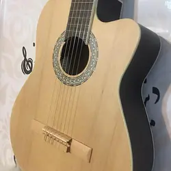 خرید گیتار کلاسیک پیکاپ دار Giannini جیانینی مدل cg200 آکبند - دنیای ساز