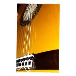 خرید گیتار کلاسیک فلامنکو Antonio Sanchez 1018 آنتونیو سانچز آکبند - دنیای ساز