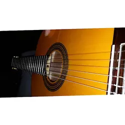 خرید گیتار کلاسیک فلامنکو Antonio Sanchez 1018 آنتونیو سانچز آکبند - دنیای ساز