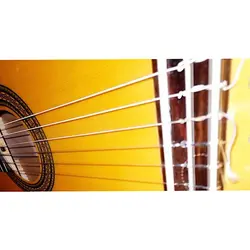 خرید گیتار کلاسیک فلامنکو Antonio Sanchez 1018 آنتونیو سانچز آکبند - دنیای ساز