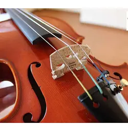 خرید ویولن Sandner مدل CV 4 ساندنر چهارچهارم آکبند - دنیای ساز