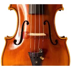 خرید ویولن Phoenix فونیکس مدل VT 303 آکبند - دنیای ساز