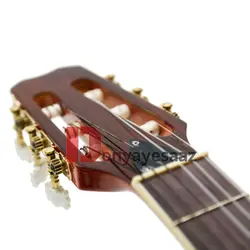 خرید گیتار کلاسیک مستر گرید MasterGrade مدل 209 آکبند - دنیای ساز