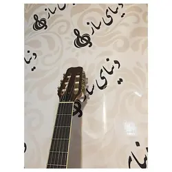 خرید گیتار کلاسیک مستر گرید MasterGrade مدل 209 آکبند - دنیای ساز