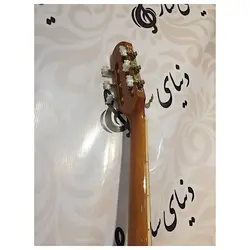 خرید گیتار کلاسیک مستر گرید MasterGrade مدل 209 آکبند - دنیای ساز