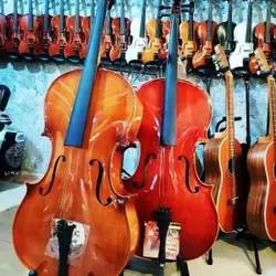 خرید ویولنسل (ویولن سل) سل سیسیلیو Cecilio گرید A آکبند - دنیای ساز