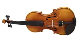 خرید ویولن فونیکس 601 Phoenix Vp آکبند - دنیای ساز