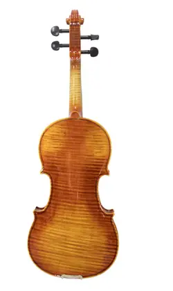 خرید ویولن فونیکس 601 Phoenix Vp آکبند - دنیای ساز