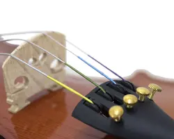 خرید ویولن فونیکس 601 Phoenix Vp آکبند - دنیای ساز