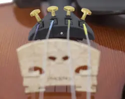 خرید ویولن فونیکس 601 Phoenix Vp آکبند - دنیای ساز