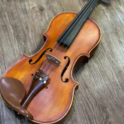 خرید ویولن (آکوستیک) حرفه‌ ای کریستینا Christina fine legend آکبند - دنیای ساز