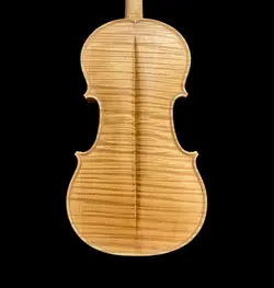 خرید ویولن آکوستیک هوشنگ اکبری دو کاسه آکبند - دنیای ساز