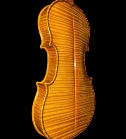 خرید ویولن آکوستیک هوشنگ اکبری دو کاسه آکبند - دنیای ساز