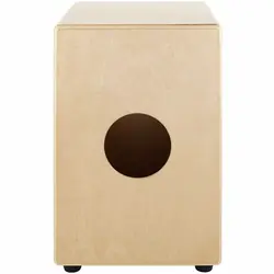 خرید کاخن لاتین پرکاشن Latin Percussion LPA 1331 Aspire Wire Natural آکبند - دنیای ساز