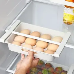 شلف تخم مرغ