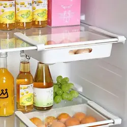 شلف تخم مرغ