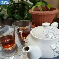 چای صاف کن چتری