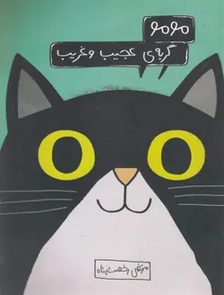 مومو گربه ی عجیب وغریب