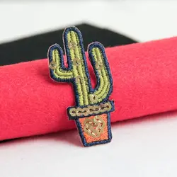 اپلیکه کاکتوس