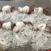 تور ماهیگیری پرتابی نخی 14 متری چشمه 2