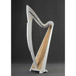 چنگ عباسی 38 سیم مدل تارا آکبند