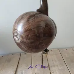 دو عدد کمانچه حرفه ای