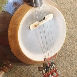 کمانچه کاسه و دسته گردو