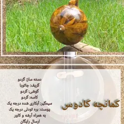 کمانچه ویژه کادوس