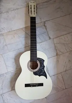 گیتار pao chia کاملا نو با تجهیزات