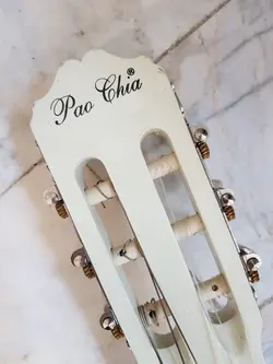 گیتار pao chia کاملا نو با تجهیزات
