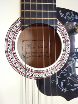 گیتار pao chia کاملا نو با تجهیزات